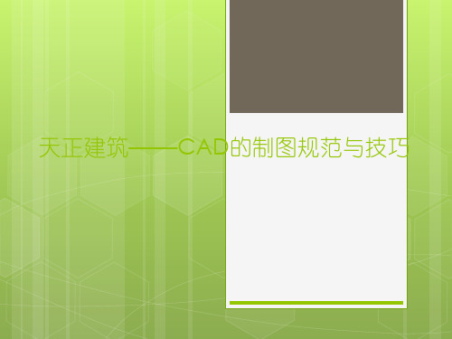 天正建筑——CAD制图规范与技巧