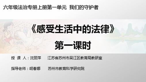 《感受生活中的法律》人教部编版课件2