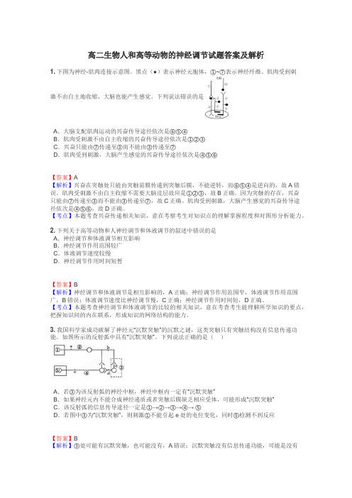 高二生物人和高等动物的神经调节试题答案及解析
