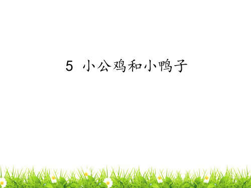 最新部编人教版语文一年级下册《小公鸡和小鸭子》精品课件