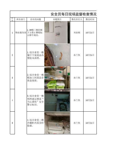 安全员每日现场监督检查情况表 (2)