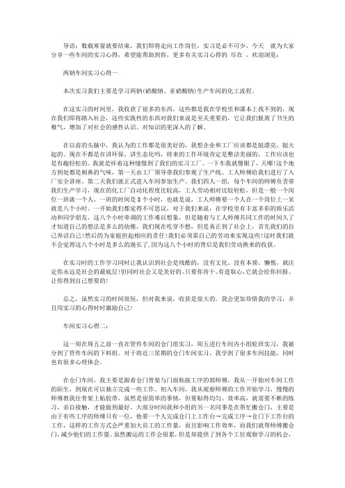 两钠车间实习心得