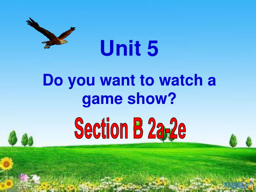 人教版八年级Unit5+Do+you+want+to+watch+a+game+show_+SectionB+2a-2e课件