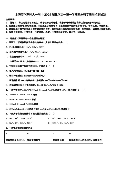 上海市华东师大一附中2024届化学高一第一学期期末教学质量检测试题含解析