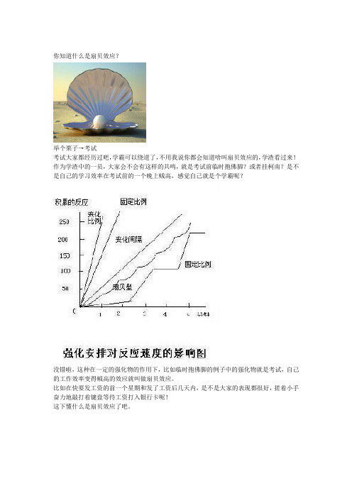 扇贝效应