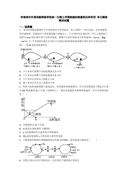 河南郑州外国语新枫杨学校高一生物上学期细胞的能量供应和利用 单元模拟测试试题