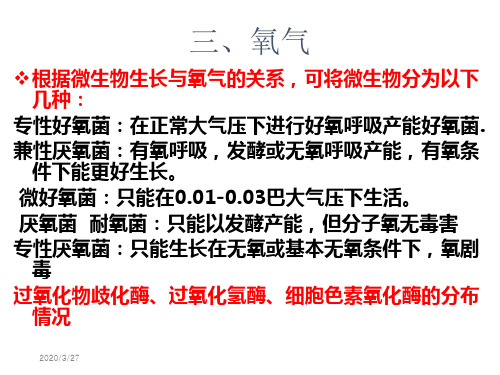 浙江大学食品微生物课件第4部分共四部分