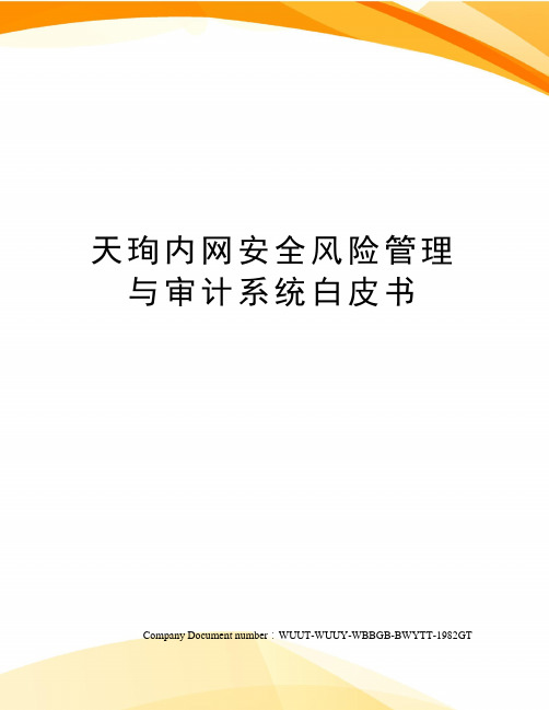 天珣内网安全风险管理与审计系统白皮书