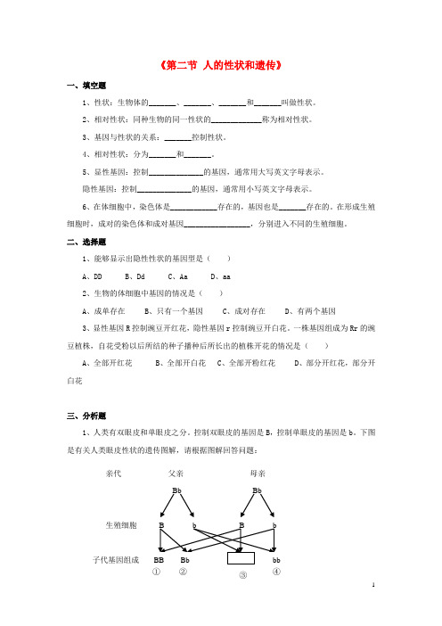 八年级生物下册 第二十二章 第二节 人的性状和遗传习题1(无答案)(新版)苏教版