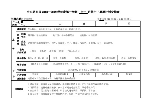 中心幼儿园2018--2019学年度第一学期  中一 班第十三周周计划安排表