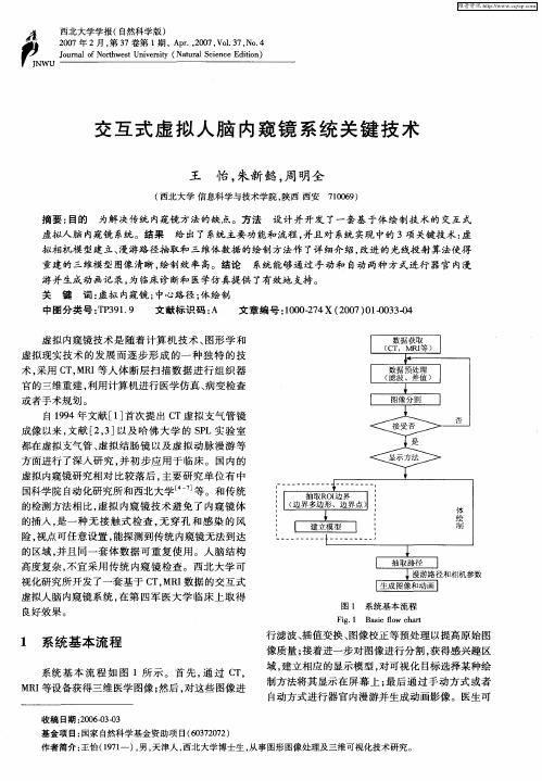 交互式虚拟人脑内窥镜系统关键技术