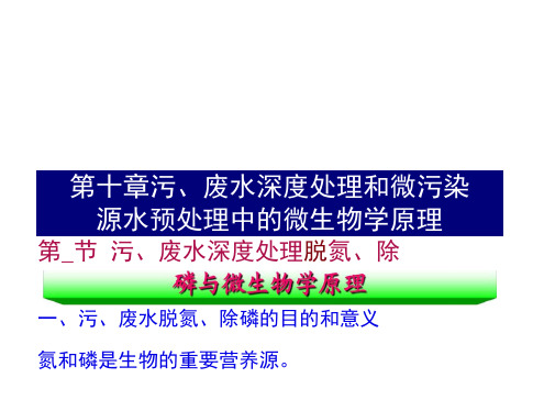 第二篇污、废水深度处理--脱氮除磷与微生物学原理.docx