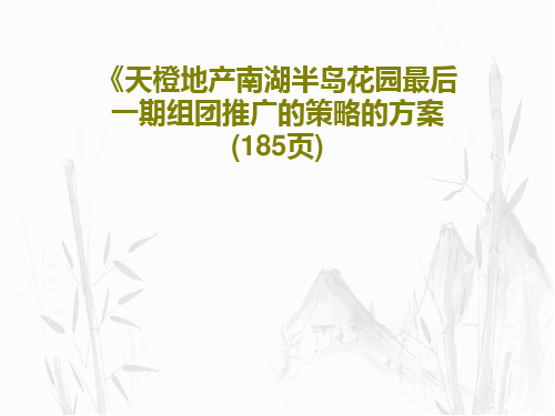 《天橙地产南湖半岛花园最后一期组团推广的策略的方案(185页)共185页文档