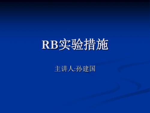 RB试验措施PPT课件