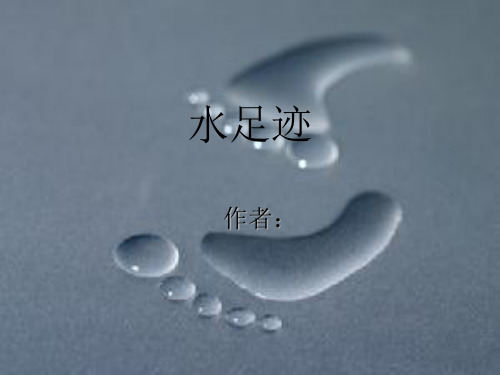 水足迹