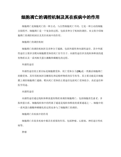 细胞凋亡的调控机制及其在疾病中的作用