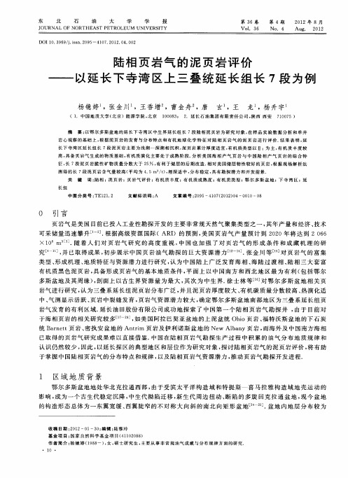 陆相页岩气的泥页岩评价——以延长下寺湾区上三叠统延长组长7段为例