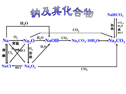 高考一轮复习钠及其化合物