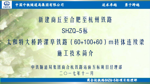 太和特大桥转体连续梁施工技术介绍