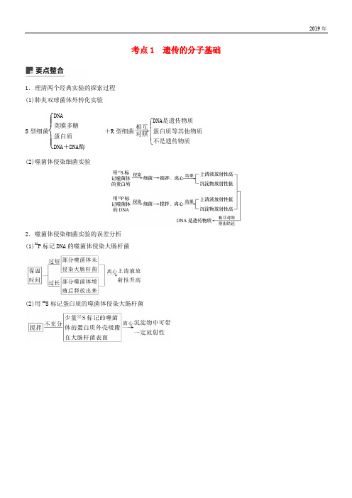 2020高考生物二轮复习 专题四 遗传的分子基础、变异与进化 考点1 遗传的分子基础学案