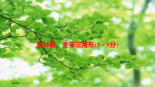 中考数学总复习 第一部分 考点全解 第四章 三角形 第16讲 全等三角形课件