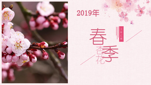 2019年春季粉红色杏花桃花PPT模板年中终季度工作总结汇报计划PPT