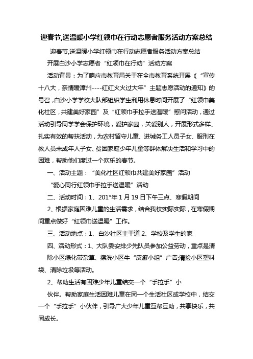 迎春节,送温暖小学红领巾在行动志愿者服务活动方案总结