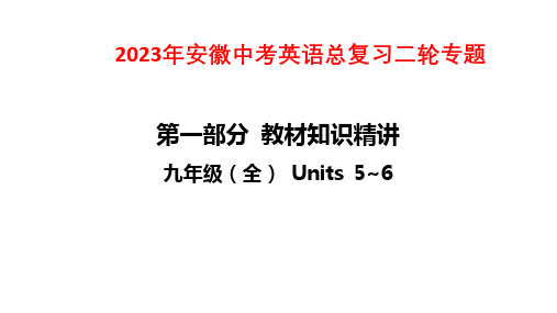 2023年安徽中考英语总复习二轮专题课件：九年级(全) Units 5~6