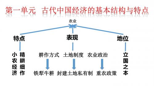 高一历史重点第一单元综合复习