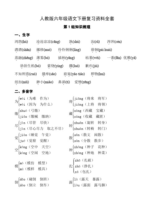 人教版六年级语文下册复习资料全套