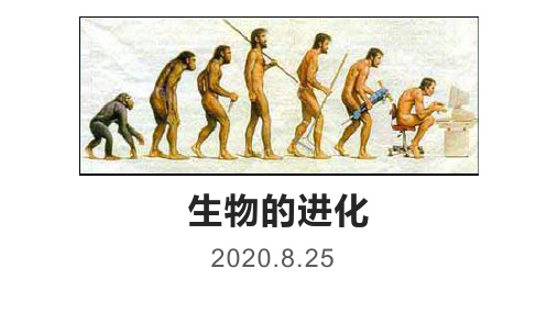 【新教材】生物的进化 课件2021届高三生物一轮复习