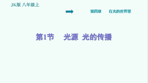 教科版八年级物理上册第四章《在光的世界里》习题课件