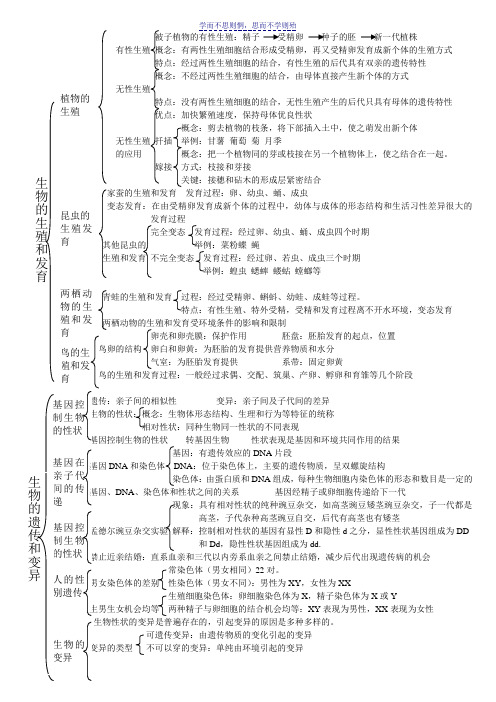 八年级生物知识思维导图整理