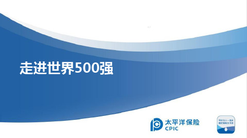 太平洋走进世界500强公司介绍39页