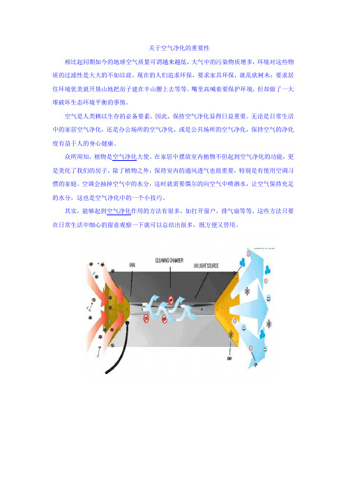 关于空气净化的重要性