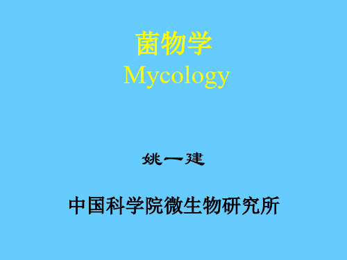 IntroductoryMycology1109069.13菌物学