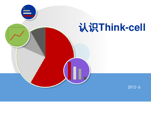 Think-cell应用办法(最全最实用)