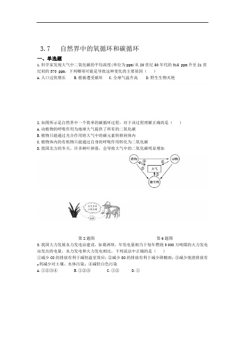 浙教版科学八年级下册同步练习题3.7自然界中的氧循环和碳循环(含解析)