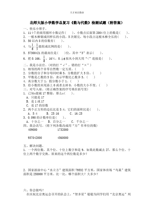 小升初数学复习资料(北师大版)《数与代数》-检测试题