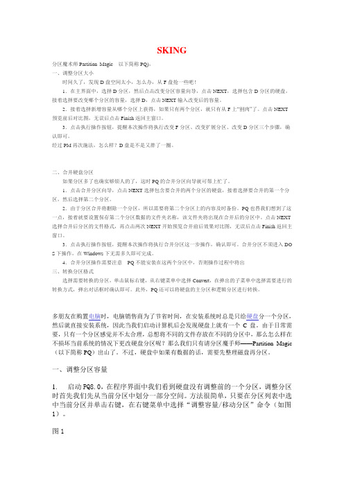 PQ分区魔术师使用教程(图文版)-SKING