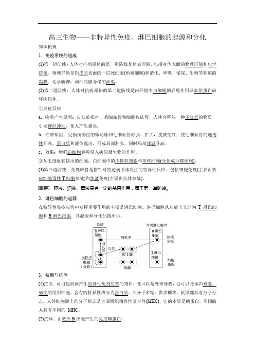 高三生物——非特异性免疫、淋巴细胞的起源和分化