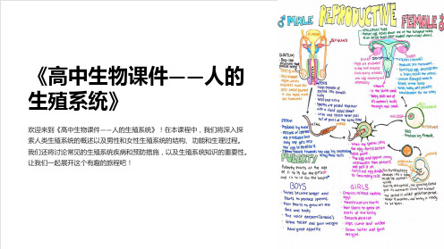 《高中生物课件-人的生殖系统》