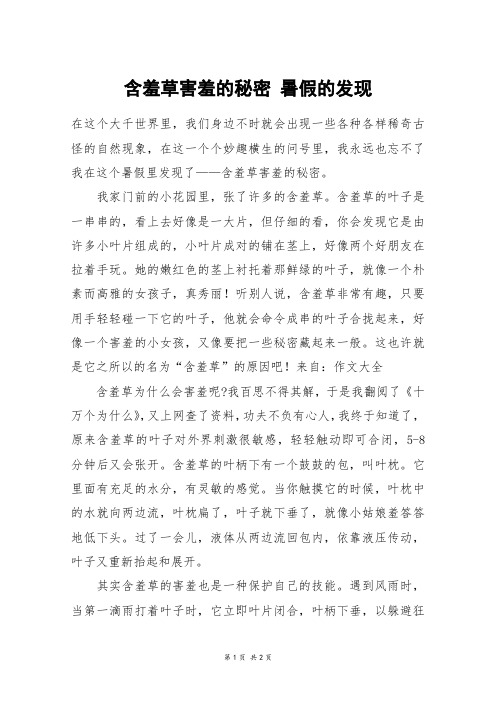 含羞草害羞的秘密 暑假的发现_初一作文