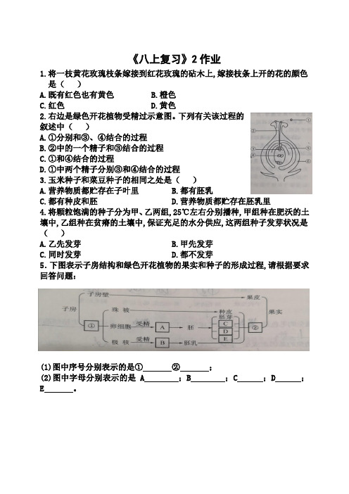 江苏省重点中学八年级重点班疫情防控空中课堂生物《八上复习》作业