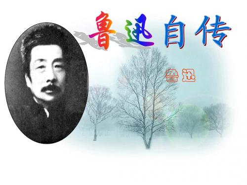 第五课《鲁迅自传》