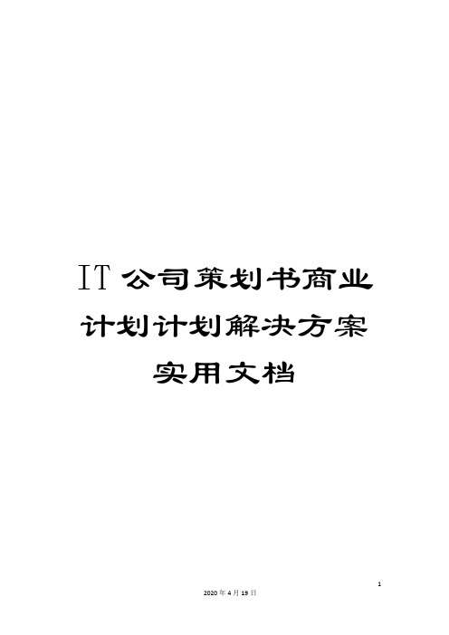 IT公司策划书商业计划计划解决方案实用文档