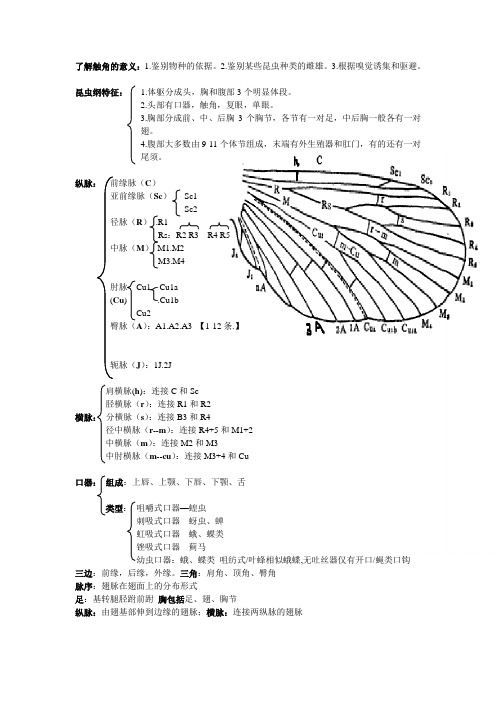 《昆虫学》考试重点