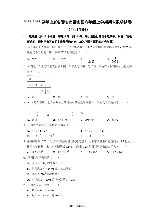 山东省泰安市泰山区2022-2023学年六年级上学期期末数学试卷(五四学制)