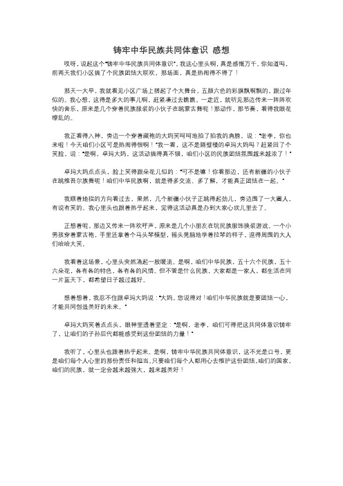 铸牢中华民族共同体意识 感想