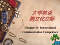 大学英语跨文化交际chapter10  Intercultural Communication Competence